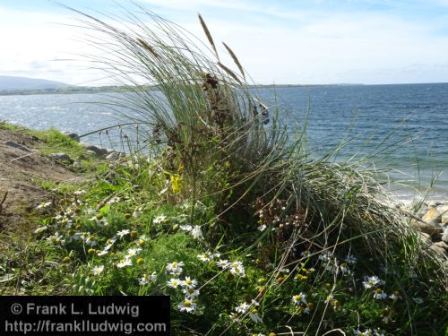 Strandhill